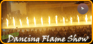 Dancing Flame Show
